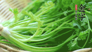 挑選鮮嫩的香菜，洗干凈后，處理成小段。